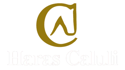 Haras Calúli — Criação de Mangalarga Marchador de Marcha Picada